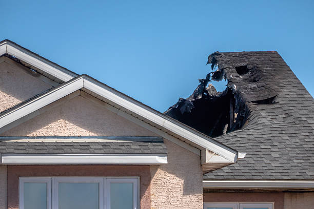 Top rated local Smoke Odor Removal specialists in Watertown, MN